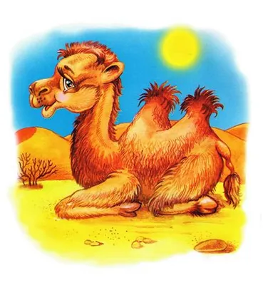 тень верблюда на тротуаре, верблюжья тень, Hd фотография фото, верблюд фон  картинки и Фото для бесплатной загрузки