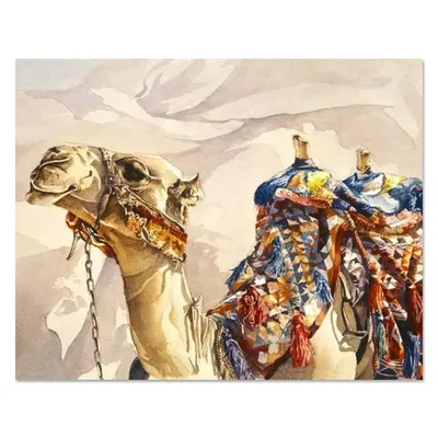 крупный план морды верблюда, верблюжья морда, глаз, верблюд фон картинки и  Фото для бесплатной загрузки