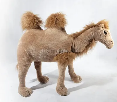Стильный смешной верблюд в спортивной…» — создано в Шедевруме