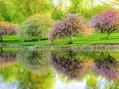 Фотографии ручеек в парке Весна Природа Времена года