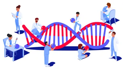 Генетика и медицина