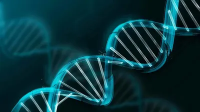 Ген гену — рознь: какую информацию о нас скрывает генетика? | The-steppe.com
