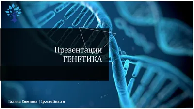 Услуги генетика во Владивостоке - цена на услуги