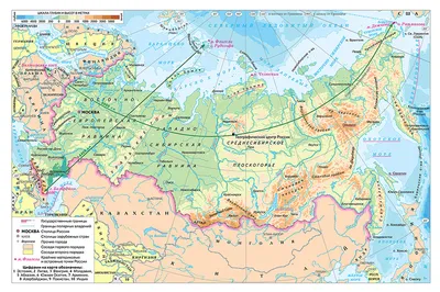 Физическая карта России настенная 157 х 107 см Атлас Принт россия Карта  настенная Плакат — купить в интернет-магазине по низкой цене на Яндекс  Маркете