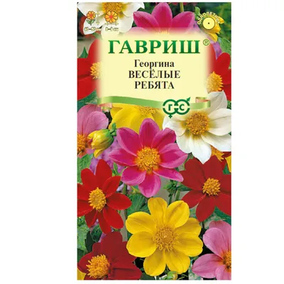 Купить Семена - Георгины Веселые ребята, 0,3 г. ❱❱ Колибри-маркет ❰❰❰