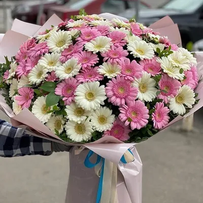 Бело-розовый букет из 101 герберы за 25 690 руб. | Бесплатная доставка  цветов по Москве