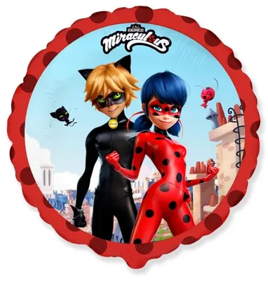 Кукла Леди Баг и Супер Кот Miraculous Lucky Charm, 27см 50012