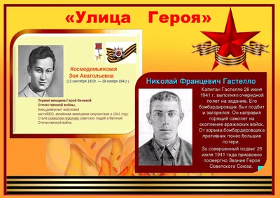 Презентация на тему Герои Великой Отечественной войны