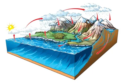 Гидросфера - что это? Классификация океанов, морей и океанических течений.  | ЭТНОиМИР - этнографические очерки и естественнонаучные экскурсы | Дзен