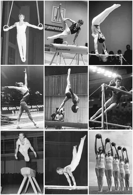 Спортивная гимнастика — Википедия