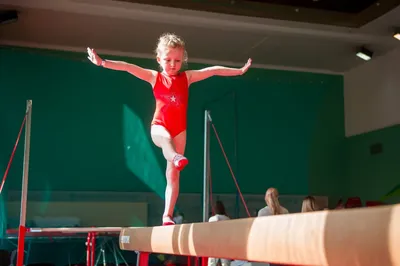 Международные гимнастические «Игры вызова легенд» | 04.04.2023 | Новости  Саянска - БезФормата