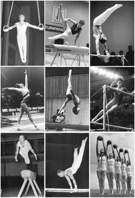 Спортивная гимнастика — Википедия