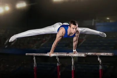 Чем отличается спортивная гимнастика от художественной