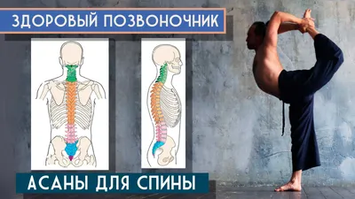 Суставные гимнастики в Екатеринбурге, гимнастика для лечения суставов в  Уральском Центре Кинезиотерапии