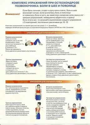 Комплекс упражнений при остеохондрозе позвоночника: боли в шее и пояснице*.  (Первая часть только). | Упражнения, Здоровье, Тренировочные упражнения
