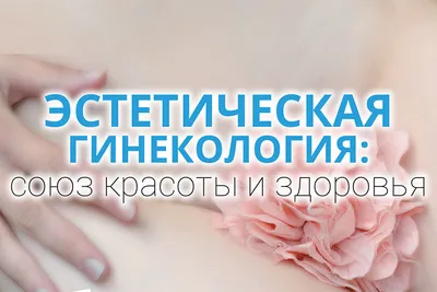 Прием гинеколога в Невском районе СПб | Альбатрос Мед