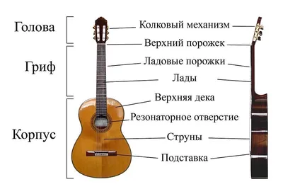 Акустическая гитара Yamaha F310 TBS – купить в рассрочку без переплат, с  гарантией и доставкой по Казахстану | Первый музыкальный - интернет магазин