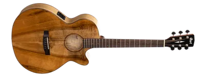 Электроакустические гитары - акустические гитары со звукоснимателем - как  выбрать электроакустику в — Трембита