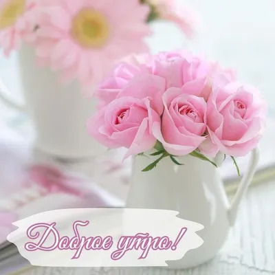 Доброе утро. Домашние гламурные женские тапочки с чашкой капучино кофе на  пушистом розовом ковре с Стоковое Фото - изображение насчитывающей  подмаренника, отдых: 162136716