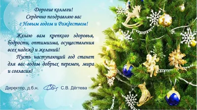 С Новым годом и Рождеством дорогие друзья! - Кировсксббж