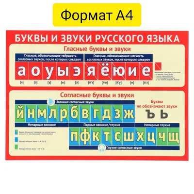 Буквы и звуки русского алфавита, гласные и согласные, звукобуквенный ряд,  формат А4, плакат - купить с доставкой по выгодным ценам в  интернет-магазине OZON (1177378538)