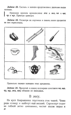 Английский в картинках: Учимся читать: Мир вокруг нас, Камионская Л.В. .  Без репетитора , Феникс , 9785222335529 2021г. 347,00р.