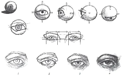 Рисунок глаза карандашом для начинающих поэтапно картинки легкие (50 фото)  » рисунки для срисовки на Газ-квас.ком