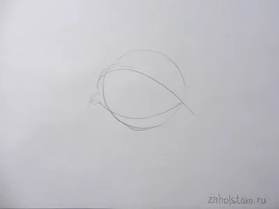 Как нарисовать глаз девушки карандашом - kompas-style