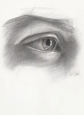 Как нарисовать глаза человека поэтапно для начинающих легко