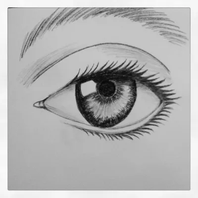 Как рисовать глаза? Рисунок глаза карандашом от «а» до «я». — zaholstom.ru