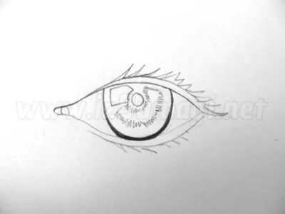 Moment F - Как нарисовать глаза карандашом поэтапно подготовил пошаговую  инструкцию и несколько видеоуроков. С ними рисовать красивые глаза смогут и  дети, и взрослые. Попробуйте! Что понадобится Бумага; простой карандаш;  ластик. Как