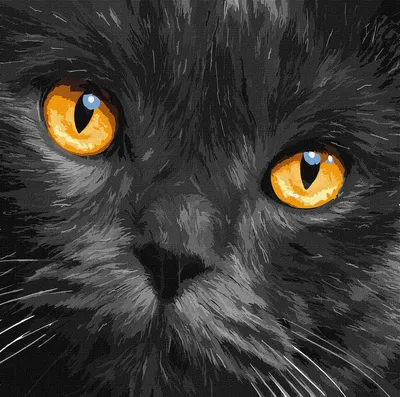 Глаза кошачьих: что нужно знать о них художнику