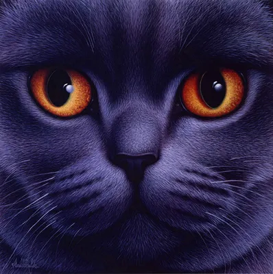 ᐉ Картина по номерам Янтарные глаза кошки 40х40 см (KHO4391)