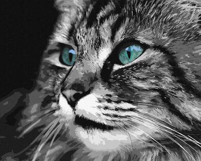 зелёные глаза кошки кошка лежащая на подоконнике у окна отдыхающая кошка  домашнее животное Стоковое Изображение - изображение насчитывающей подушка,  вискеры: 226436969