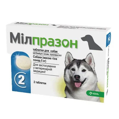 Лучшие препараты для вывода глистов у кошек и собак | Zoohub