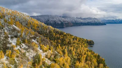 глубокая осень / октябрь, утро туманное, листья опадают, красиво кругом