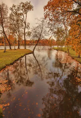 Глубокая осень картинки фотографии