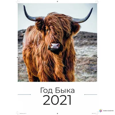 2021 Год быка иллюстрация вектора. иллюстрации насчитывающей громоздкого -  191248136
