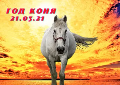 Чем опасен год Коня, наступающий 21.03.2021 | ASTROTV | Дзен