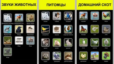 Звуки животных для детей – скачать приложение для Android – Каталог RuStore