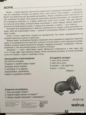 Зверюшек жалко: 11 печальных фактов о мире животных в картинках | VOICE |  Дзен