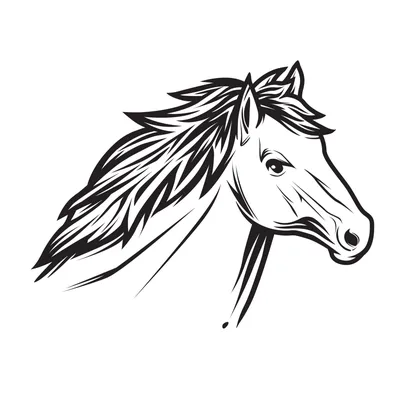 Коричневая голова лошади изолированной на белом фоне. Портрет: лица лошади  Стоковое Изображение - изображение насчитывающей камера, страна: 175700443