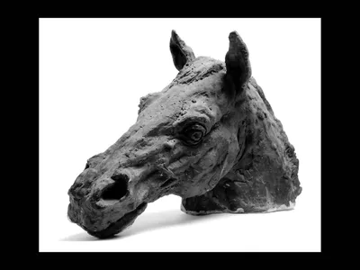 Маска в виде головы лошади, искусственная маска для косплея животных,  реквизит в виде головы лошади для маскарада, кинотеатра, розыгрыша,  украшение на Хэллоуин | AliExpress