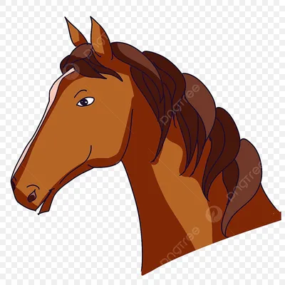 Лошадиная Голова Лошадь Езда На - Бесплатное фото на Pixabay - Pixabay