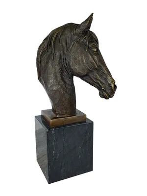 Голова лошади в орнаменте иллюстрация вектора. иллюстрации насчитывающей  расцветка - 186007263