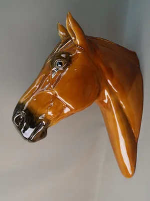 Крупным планом фото головы лошади · Бесплатные стоковые фото