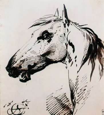 Голова лошади рисунок - 65 фото