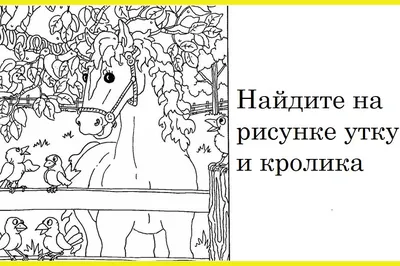 100-летняя головоломка: Сколько животных и лиц спрятано на картинке |  Инфониак | Интересно и полезно | Дзен