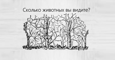 🎲 Головоломка 🎲 А сколько животных на картинке видите вы? Посмотрите  внимательно 😉 Ваши.. | ВКонтакте