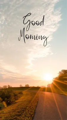 Good Morning Images, Wishes, Quotes, Greetings, Text, WhatsApp Status N  Messages